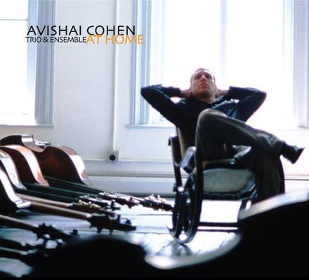 At Home - Avishai Cohen Trio & Ensemble