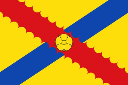 Vlag Hensies 200x300cm