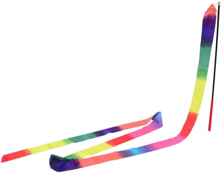 Rainbow Lint - Outdoor Fun Ribbon - Regenboog Streamer - Speellint - Danslint - 2 Meter - Multicolor