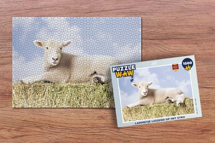 Puzzel Lammetje liggend op het stro - Legpuzzel - Puzzel 1000 stukjes volwassenen