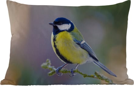 Buitenkussens - Koolmees - Vogel - Tak - 60x40 cm - Weerbestendig