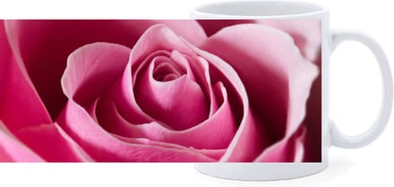 Beker - Close up - Roze Roos