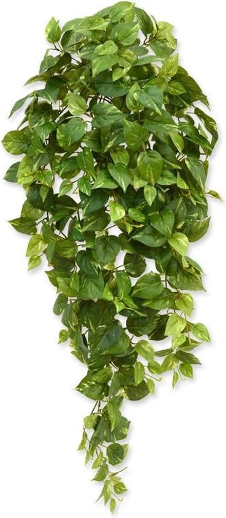 Scindapsus kunst hangplant 100cm - bont