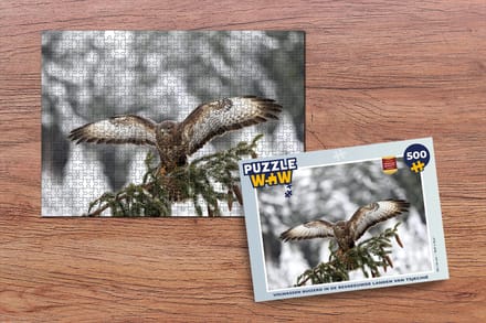 Puzzel Volwassen buizerd in de besneeuwde landen van Tsjechië - Legpuzzel - Puzzel 500 stukjes