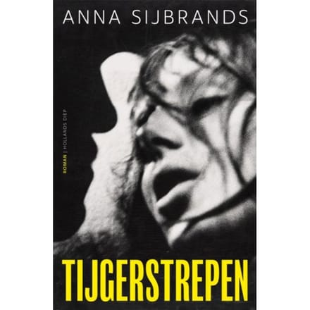 Tijgerstrepen - Anna Sijbrands