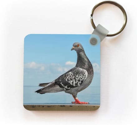 Sleutelhanger - Uitdeelcadeautjes - Duif - Blauw - Lucht - Plastic