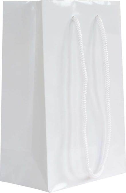 10x cadeautasjes Wit Extra klein - 14x8x21,5cm