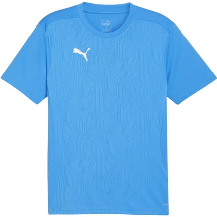 Puma Heren TeamFinal Training T-shirt (Blauw/zilver)