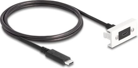 Delock Easy 45 Module SuperSpeed USB 10 Gbps (USB 3.2 Gen 2) USB Type-C™ female to USB Type-C™ male with pigtail, 22,5 x 45 mm
