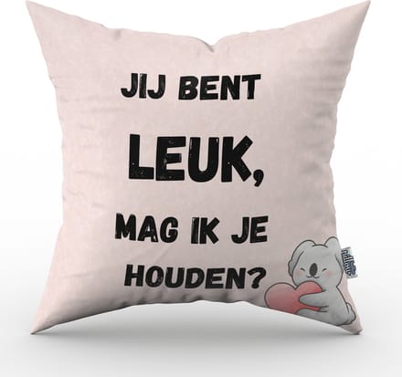 Valentijn kussen Jij bent leuk, mag ik je houden? - 30 cm