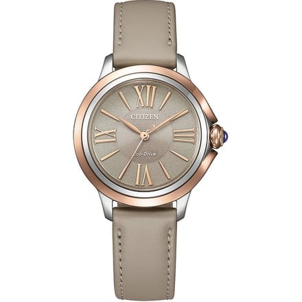 Citizen EM1166-01Z Horloge - Leer - Grijs - Ø 30 mm