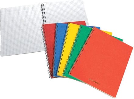 Schrift aurora 75x110mm ruit 5mm 160pag ass | 20 stuks