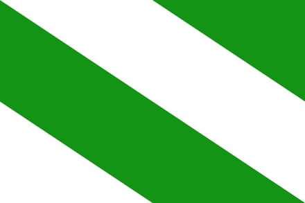 Vlag Evere 150x225cm