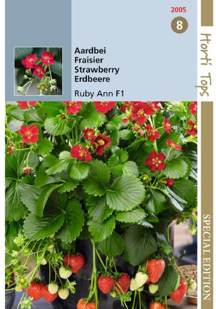 Hortitops zaden - Aardbeien Hangaardbei Ruby Ann F1 BV - Ca. 7 zaden