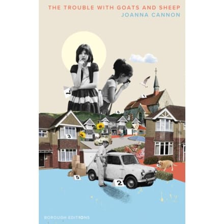 The Trouble With Goats And Sheep - Joanna Cannon