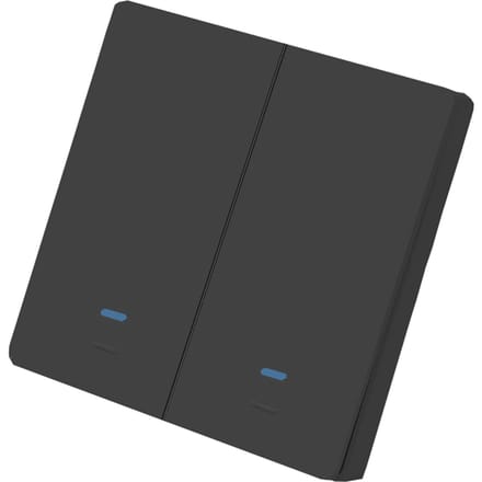 Wi-Fi Smart Switch Lichtschakelaar Drukknop Spraakbesturing, Afstandsbediening, Touch Control Compatibel 2 Gang zwart