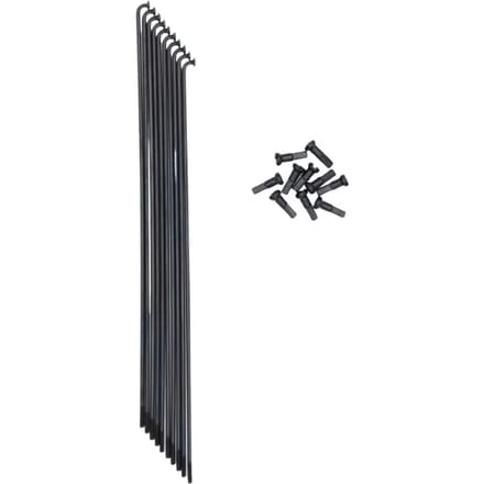 Rand Pride Racing Hexagon Pro 36h