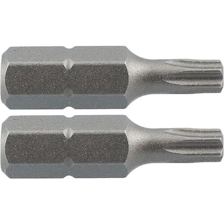 Labor schroefbit TX30x25mm (2 Stuks)