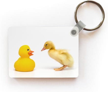 Sleutelhanger - Baby eend met bad eend op witte achtergrond - Uitdeelcadeautjes - Plastic