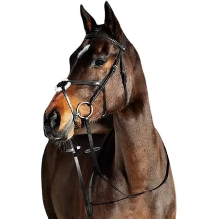 Horze Prescott Mexicaanse Neusriem Hoofdstel, Black, Warmblut
