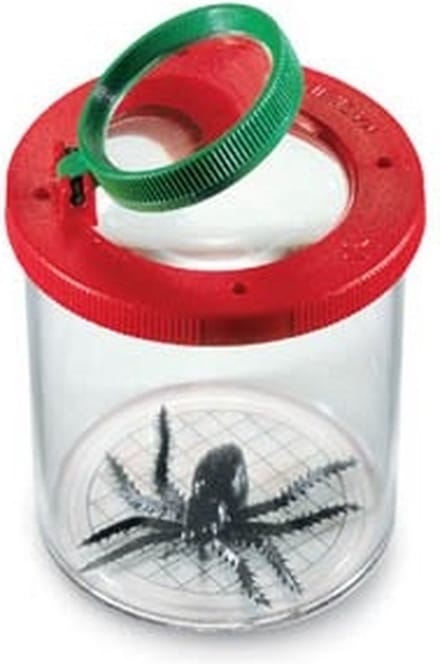 Insectenloep - Rood & groen