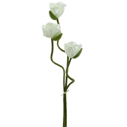 Kunstbloem Kunstbloem Poppy Corn Rose Wit L55/60/70cm Set van 3, 3 Stü