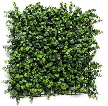 Emerald - Kunst Plantenwand Eucalyptus UV 50x50cm - Kunstplant voor binnen