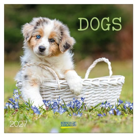 Honden Kalender 2027