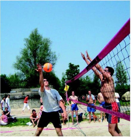 Sportec Beachvolleybalnet Recreatie - zwart/roze - 850 X 100 Cm