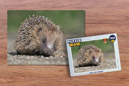 Puzzel Egel op grind - Legpuzzel - Puzzel 1000 stukjes volwassenen