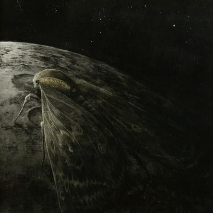 Augrimmer - Moth And The Moon (CD)