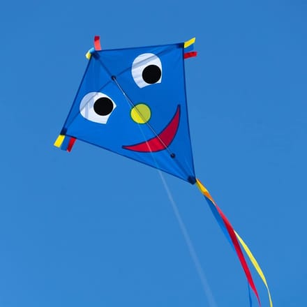 Kindervlieger voor kinderen vanaf 3 jaar - 65 x 72 cm met 80 m vliegerkoord