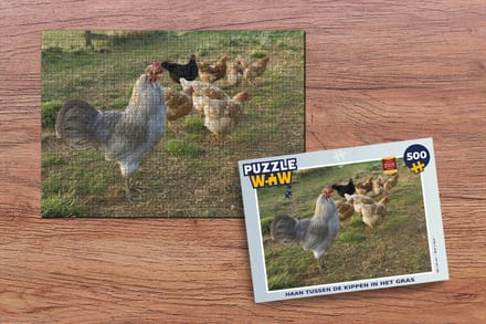 Puzzel Haan tussen de kippen in het gras - Legpuzzel - Puzzel 500 stukjes