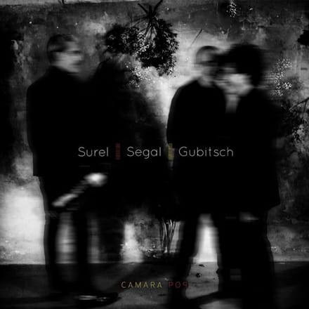 Sébastien Surel, Vincent Segal, Tomás Gubitsch - Camara Pop (CD)