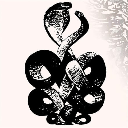 Bardo Pond - Volume 4 & 5 (2 LP)