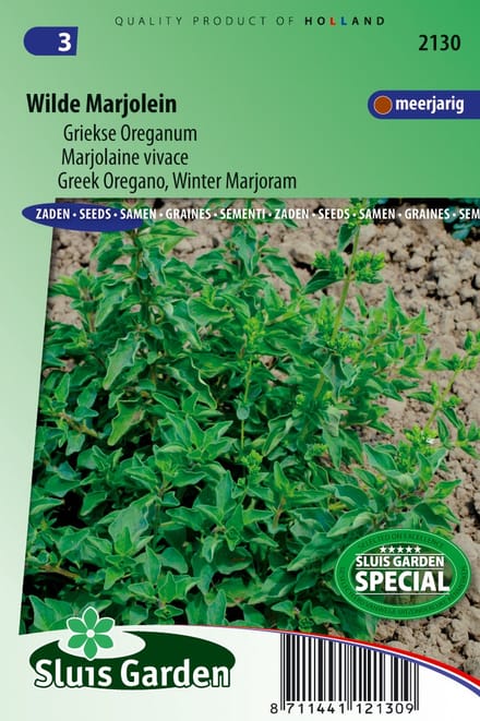 Sluis Garden - Griekse Oreganum