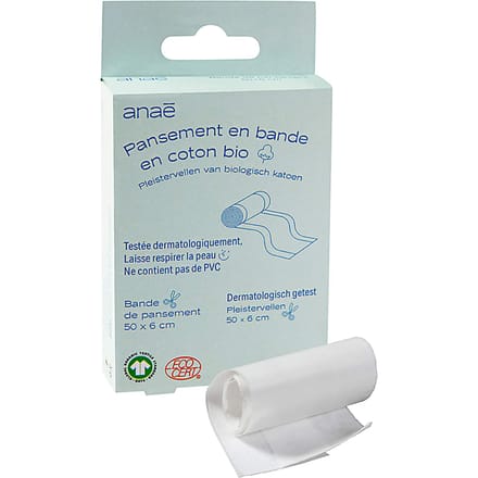 Anae Pleisterrol