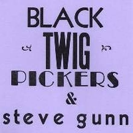 Black Twig Pickers & Steve Gunn - Lonesome Valley (7" Single) (Limited Edition)