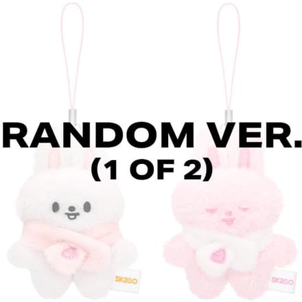 Stray Kids - SKZOO SECRET Pluche Micro Versie. - Verblijf in Ons Kleine Huis Leebit black