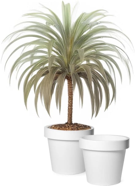 Mega Collections Plantenpot/bloempot - 2x - kunststof - wit - buiten - D30 x H27 cm