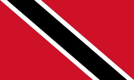 vlag Trinidad en Tobago 50x75cm