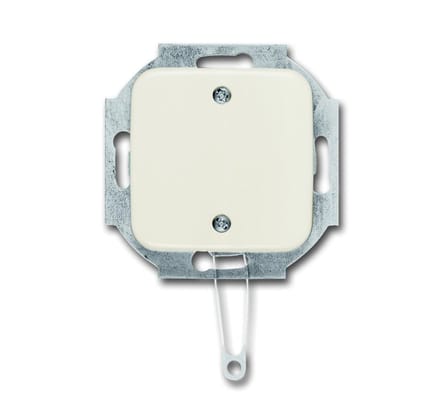 ABB Busch-Jaeger SI Installatie Schakelaar - 2CKA001315A0423