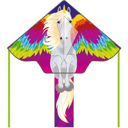 Ecoline Eenlijns Vlieger Simple Flyer Pegasus Spanwijdte 1200 mm Geschikt voor windsterkte 2 - 5 bft