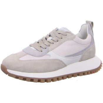 Sneakers Lloyd -