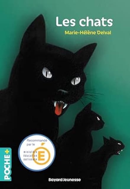Spannende Verhalen over Zwarte Katten