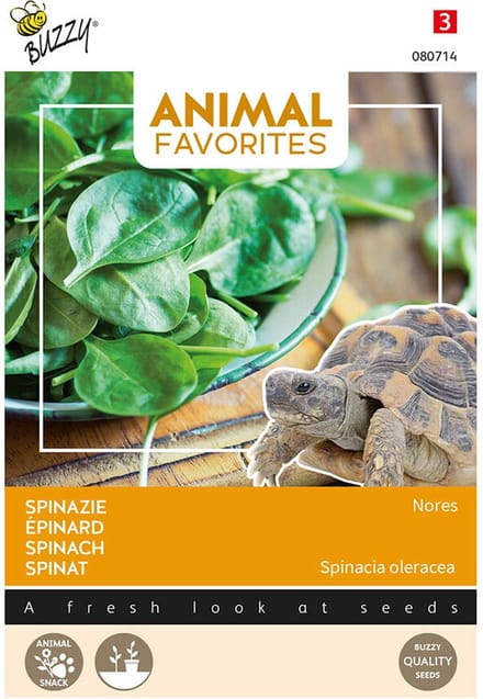 Spinazie - Nores
