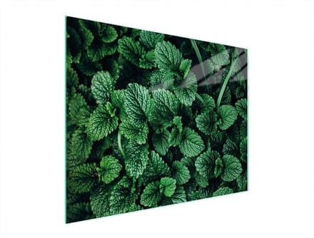TMK ArtDeko - Snijplank Glas - 52x40 cm - Hartglas - Antislip