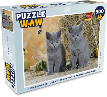 Puzzel Twee Britse korthaar kittens met op de achtergrond hooi - Legpuzzel - Puzzel 500 stukjes