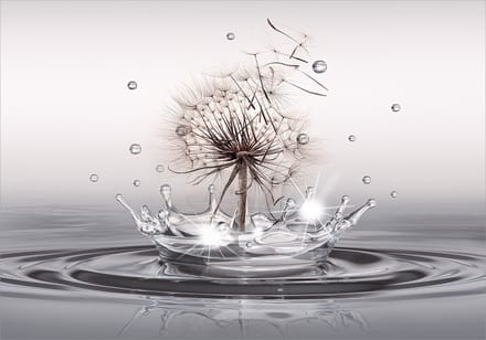 Fotobehang - Wind Drops.