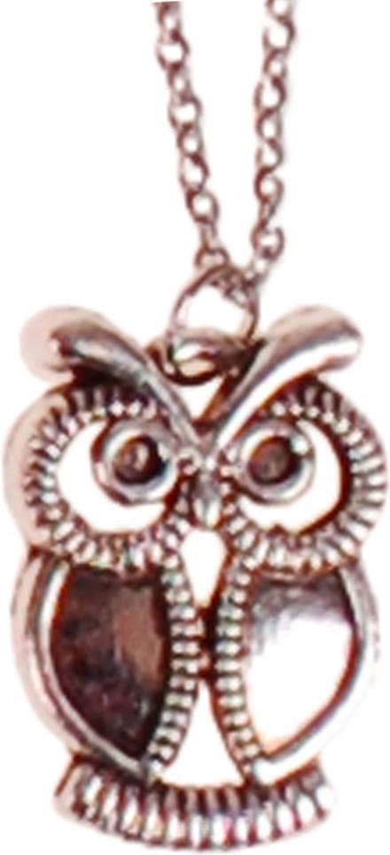 Kinderketting RVS 45cm - Hangertje Uiltje Zilverkleurig 2cm